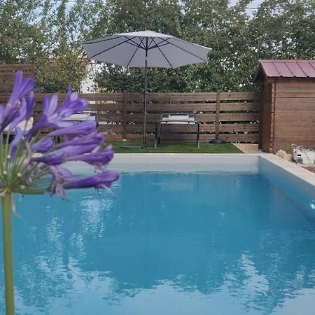 Bed and Breakfast Domaine De La Vigne Cadalen Екстер'єр фото