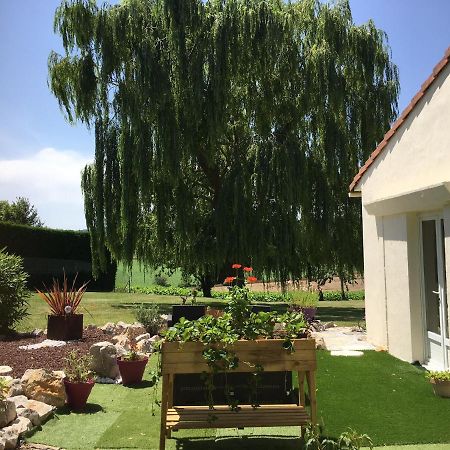 Bed and Breakfast Domaine De La Vigne Cadalen Екстер'єр фото