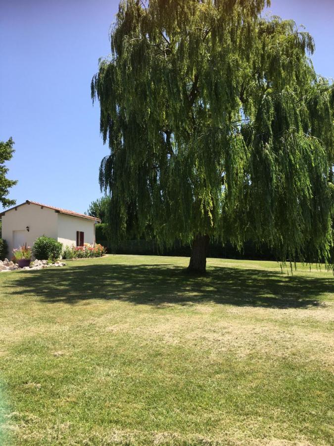 Bed and Breakfast Domaine De La Vigne Cadalen Екстер'єр фото