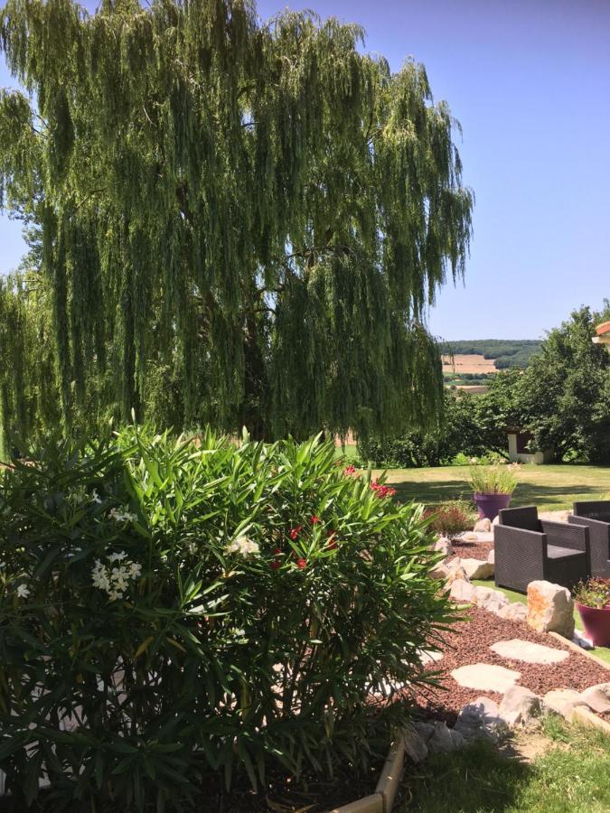 Bed and Breakfast Domaine De La Vigne Cadalen Екстер'єр фото