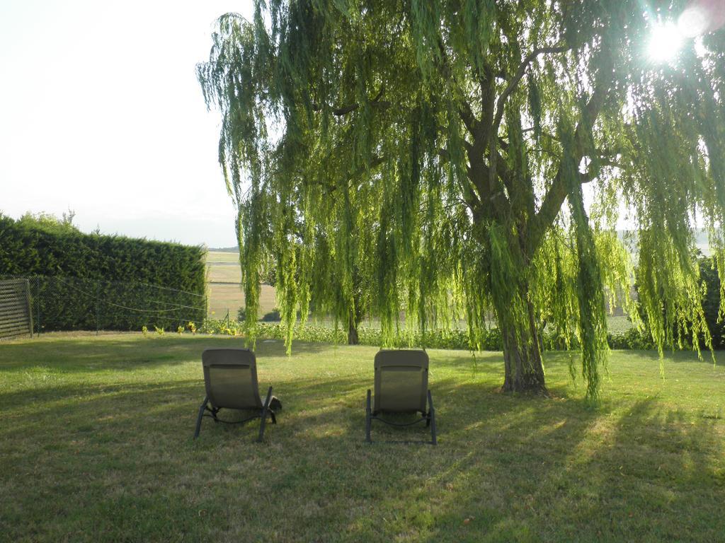 Bed and Breakfast Domaine De La Vigne Cadalen Екстер'єр фото